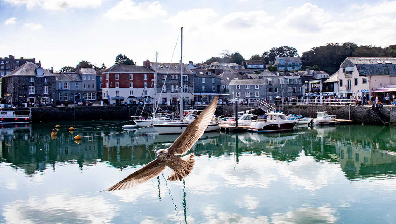 Wander down to Padstow’s iconic harbour, with its boats, artisan shops and freshly caught fish & chips (seagull vigilance advised !).